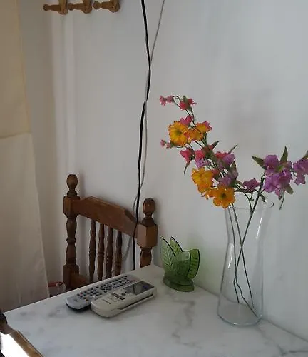 Hibiscus Πανσιόν Πάρος